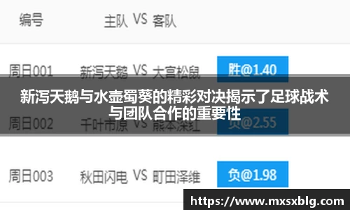 bwin必赢新泻天鹅与水壶蜀葵的精彩对决揭示了足球战术与团队合作的重要性